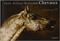 Chevaux 